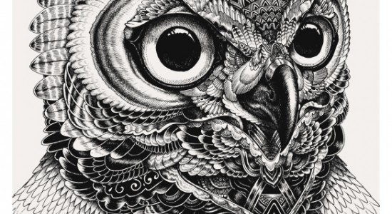 Black and white illustrations by Iain Macarthur